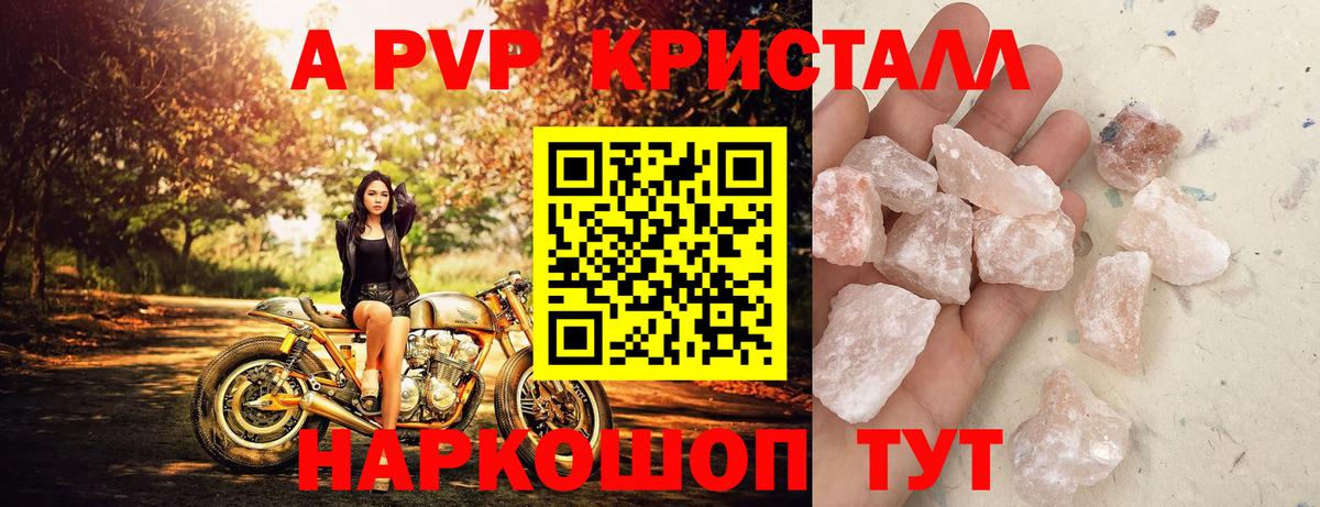 А ПВП СК КРИС Сочи
