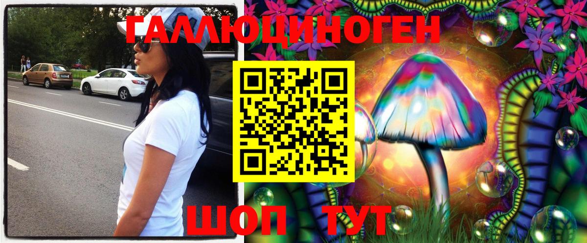 цена   Вход с VPN  Сочи  Галлюциногенные грибы GOLDEN TEACHER 