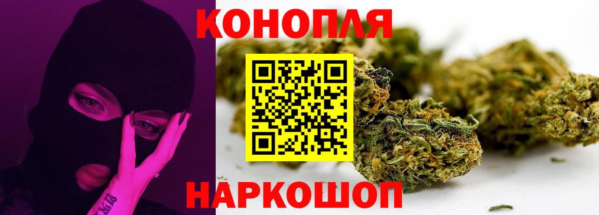 Сочи  Бошки марихуана планчик  Вход с VPN  Шишки марихуана Bruce Banner  Конопля индика 